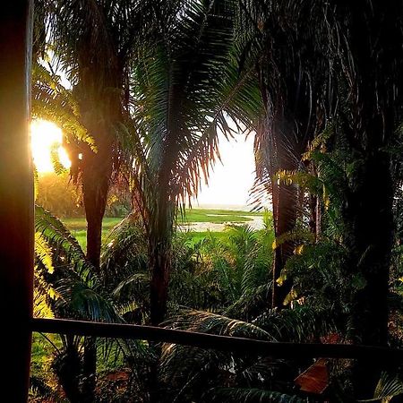 Encanto Lodge Drakes Bay エクステリア 写真
