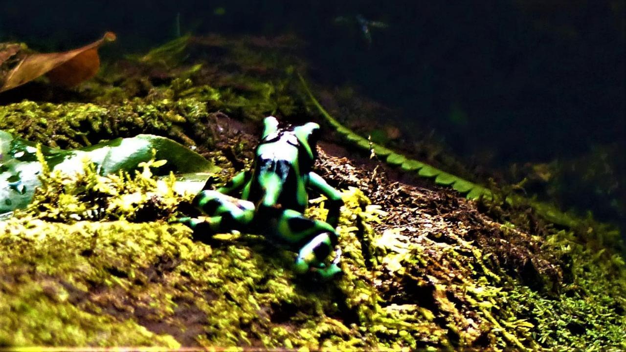 Encanto Lodge Drakes Bay エクステリア 写真